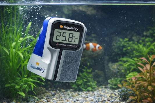 Iman de limpieza con termómetro